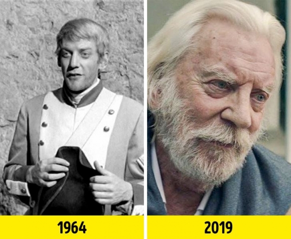 盘点好莱坞电影的中国演员,天生演员排行