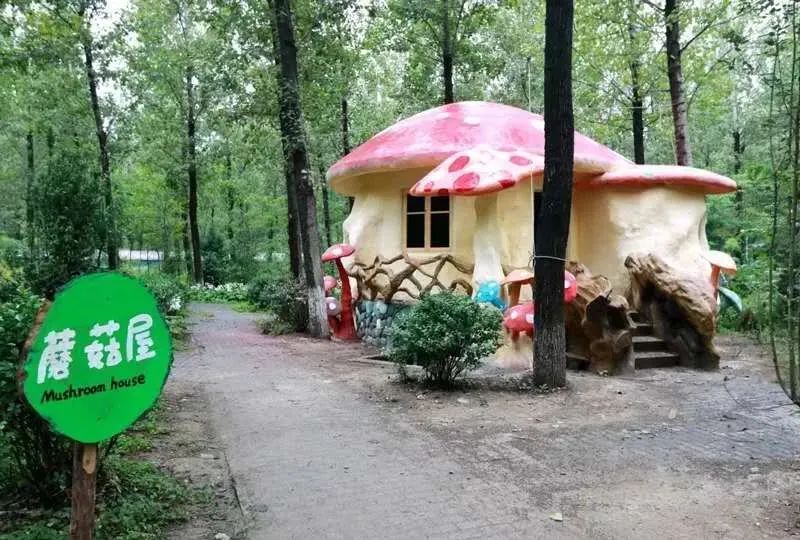 周末亲子好去处无动力乐园,亲子农场适合带孩子去玩的地方