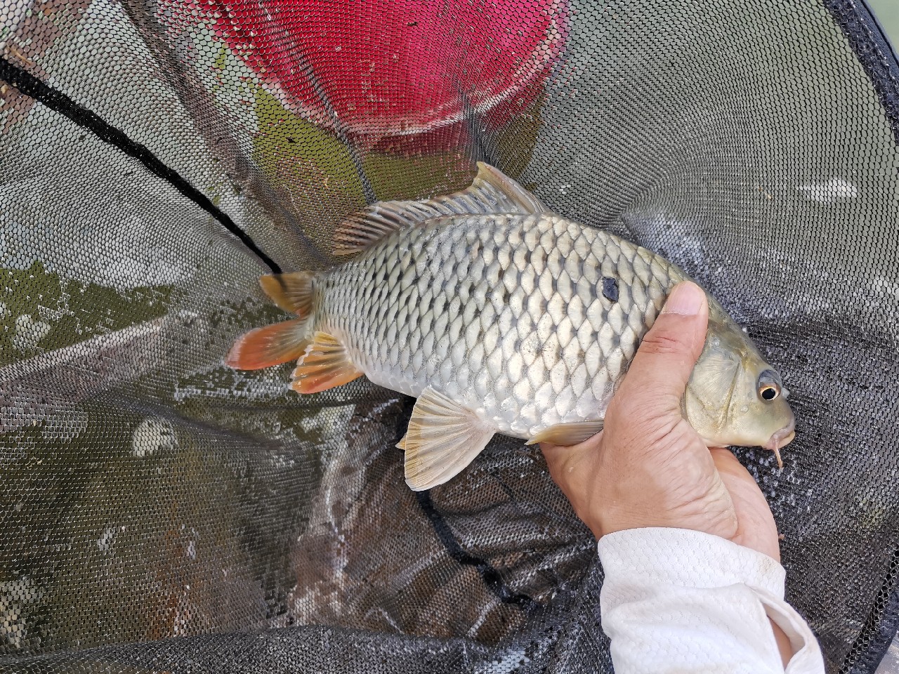 灏忓悍鍝ヤ竾宄版箹閽撻奔 (灏忓悍鍝ユ帰閽撲竾宄版箹)