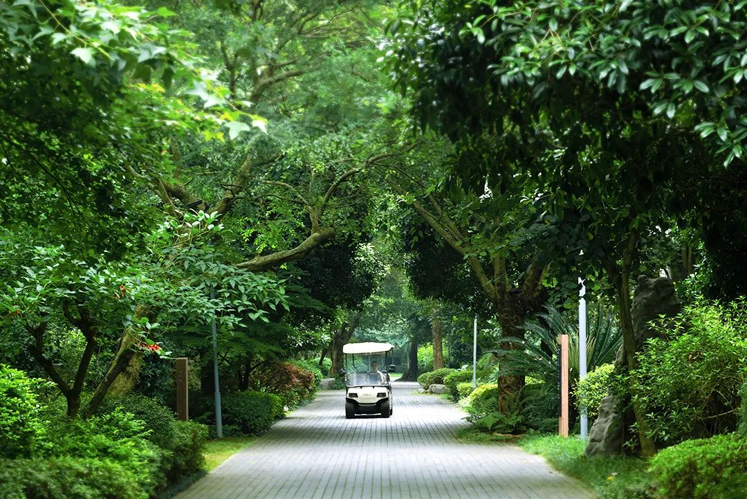 比买一送一还划算，全年不涨价！享山水画里329㎡双卧别墅，玩皮划艇漂流