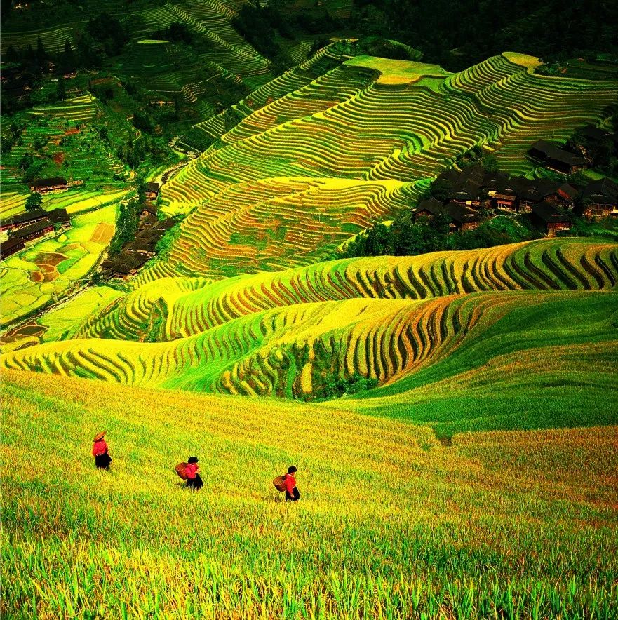 比买一送一还划算，全年不涨价！享山水画里329㎡双卧别墅，玩皮划艇漂流