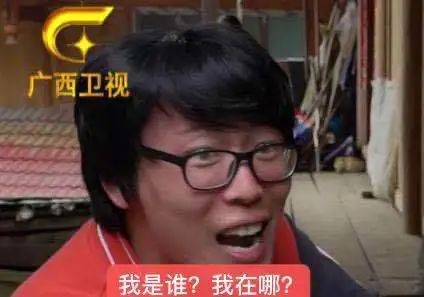 牛胃里的草叫什么,牛胃里的牛草黄