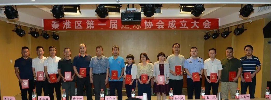 足球体育改革,体育专业协会成立