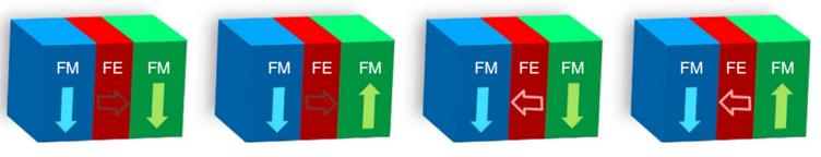 未来信息存储的领航者——多铁性材料丨科普硅立方