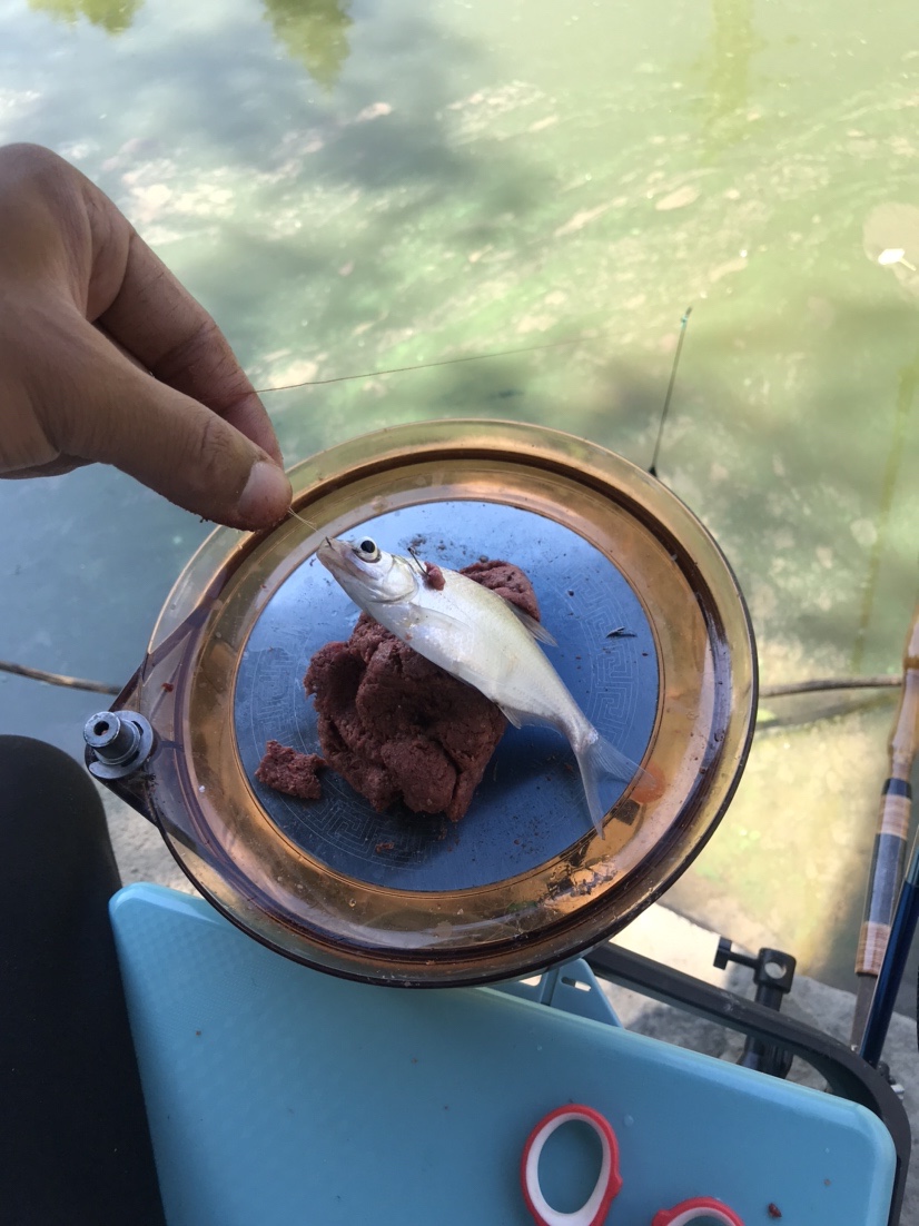 近水楼台先得“鱼”，一不小心成蟹老板