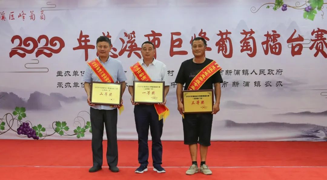 慈溪巨峰葡萄哪家强？这些农场和合作社获奖啦