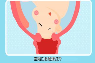 孕晚期几乎每位孕妈妈都会搜索的5个问题，你确定不看一下？