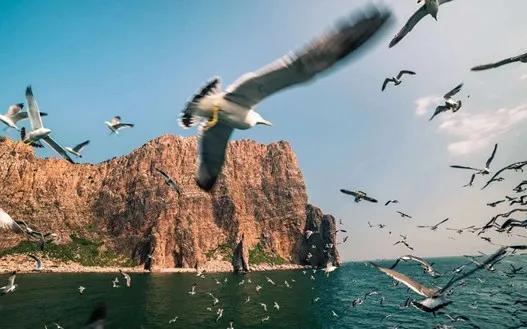 宫崎骏眼中的夏天图片,宫崎骏眼里的夏天滤镜