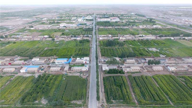 *疆新**轮台县生态搬迁：塔河沿岸绿了新居村民富了