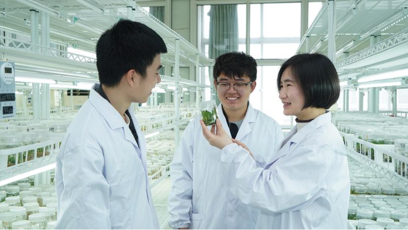 嘉兴职业技术学院2019招生简章,嘉兴职业技术学院2018招生简章