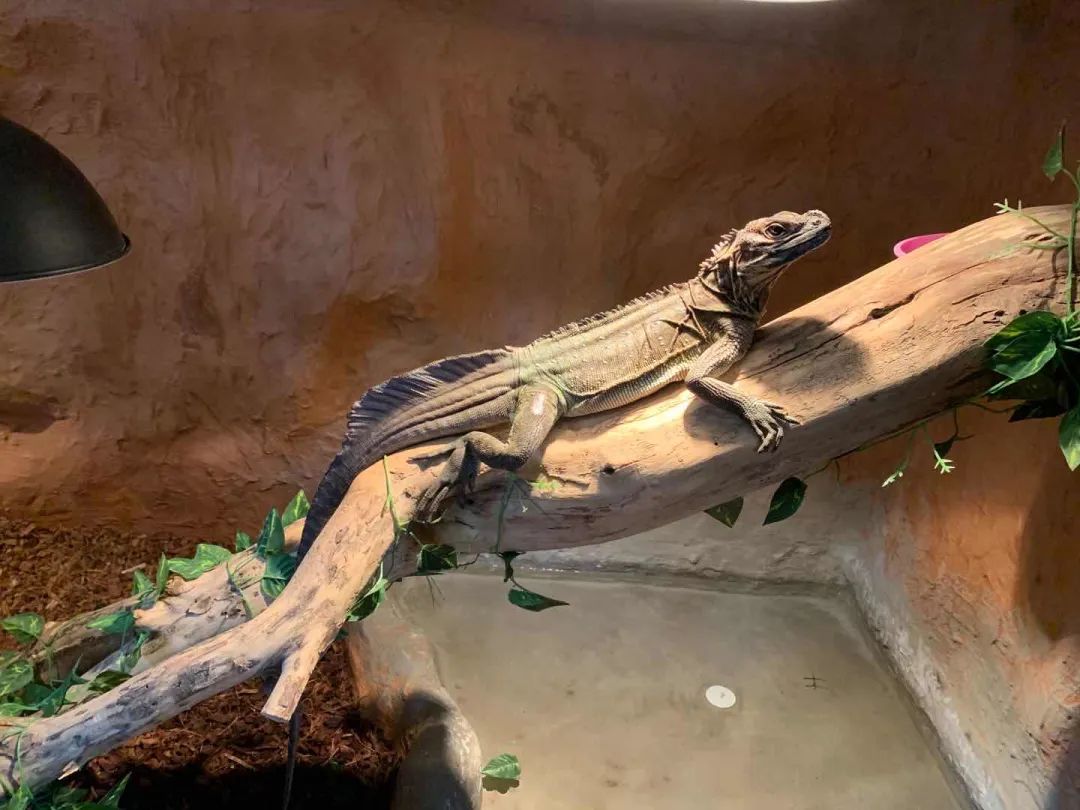 金山区自然博物馆,金山区博物馆有什么