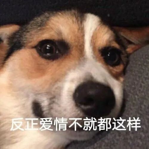 泫雅金晓钟公开恋情是真的吗,泫雅龙俊亨晒牵手照疑似公布恋情