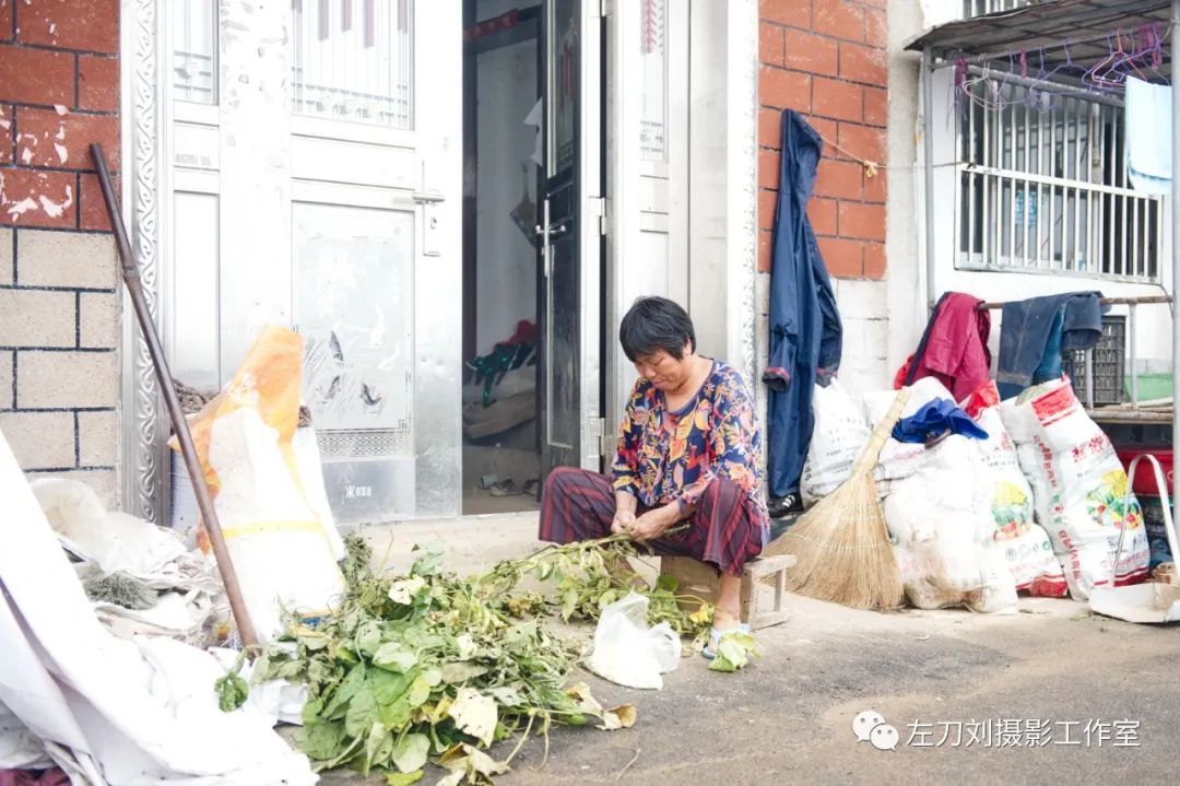【图说】蓄洪后的庄台平静的生活