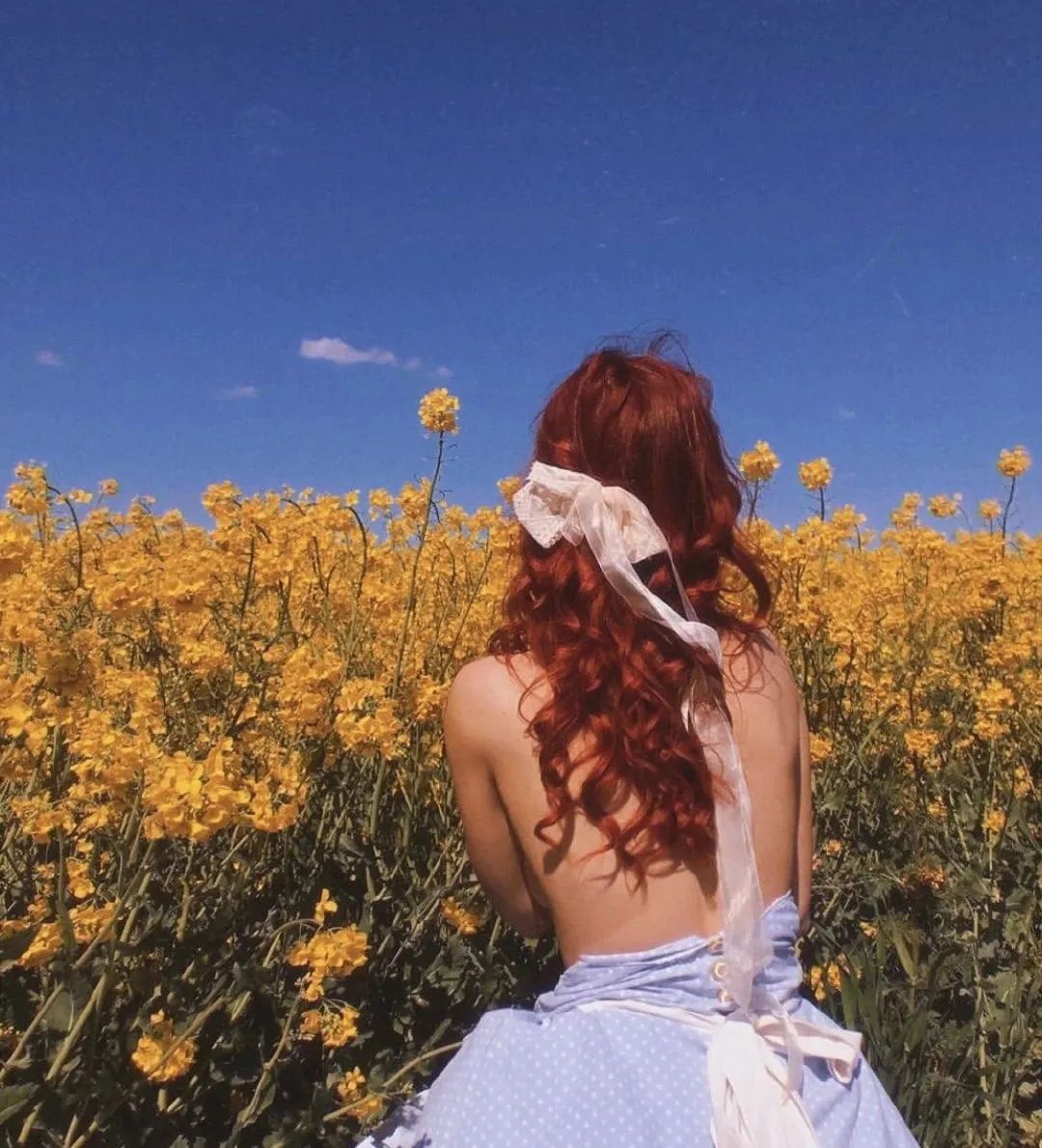 明星神仙颜值女,女明星的神仙颜值动图