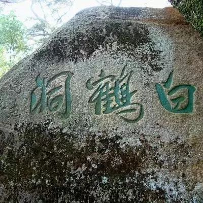 “花鸟鱼虫”、“白鹤成仙”......荔湾这些地名背后的故事你知道吗？