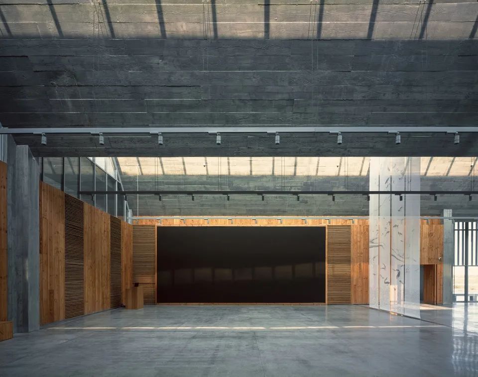 探索崇明东滩湿地公园的奥秘,崇明东滩湿地科研中心