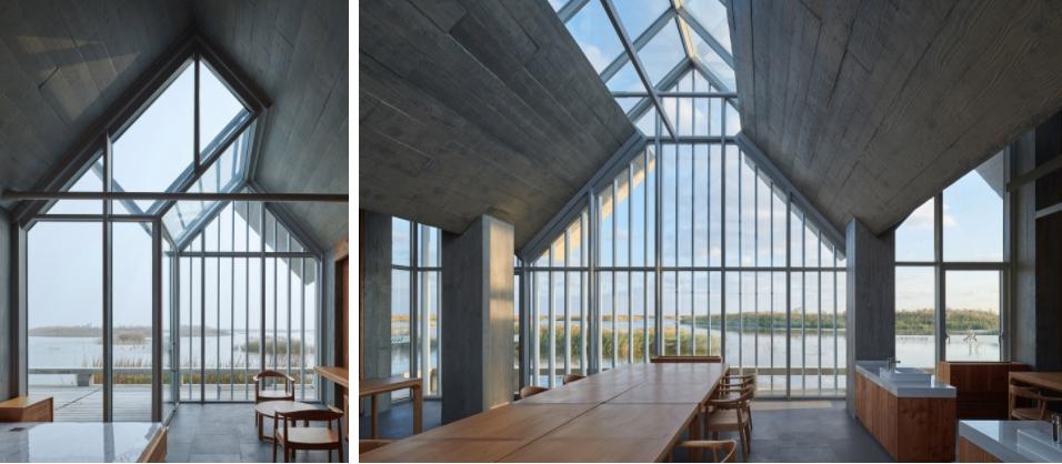 探索崇明东滩湿地公园的奥秘,崇明东滩湿地科研中心