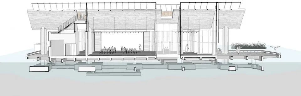 探索崇明东滩湿地公园的奥秘,崇明东滩湿地科研中心