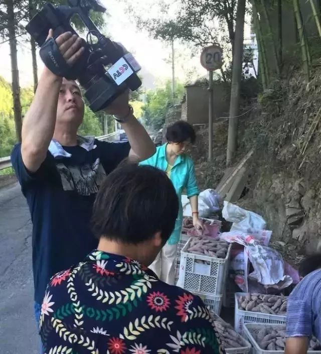 临安天目山小香薯粉糯香甜,天目山小香薯新鲜现挖