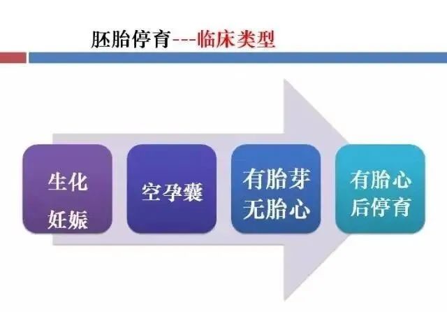 胚胎停育属于空囊吗,胚胎停育孕囊自己掉出来了
