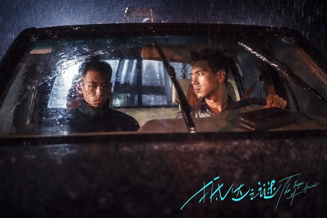 抵达之谜白狮奇缘上映时间,白狮奇缘在线完整免费观看超清版