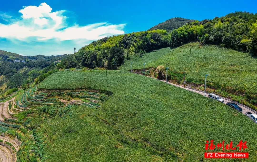 孟浩然过故人庄图片,过故人庄孟浩然真实版