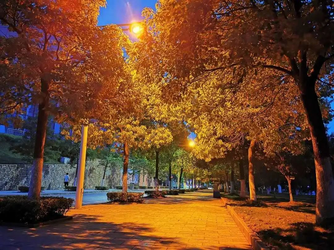 贵州十大高校排行榜,贵州高校介绍