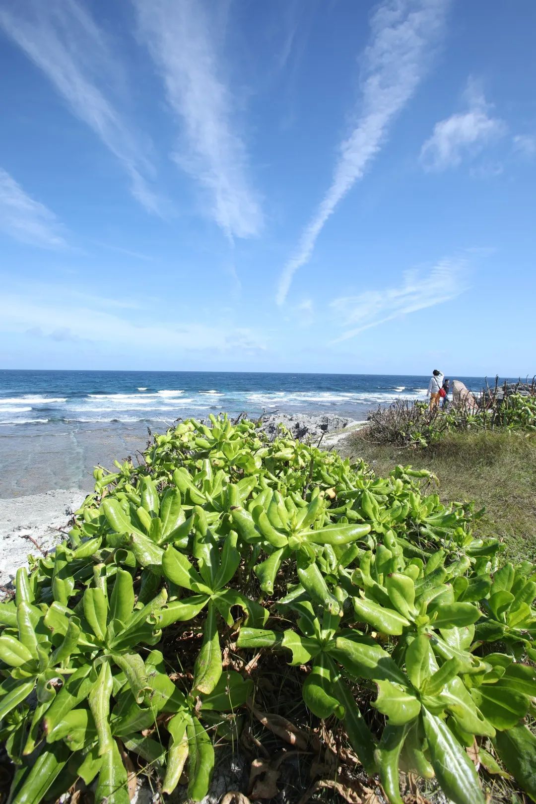 在三沙市居住的真实感受,生活在海南是什么感受