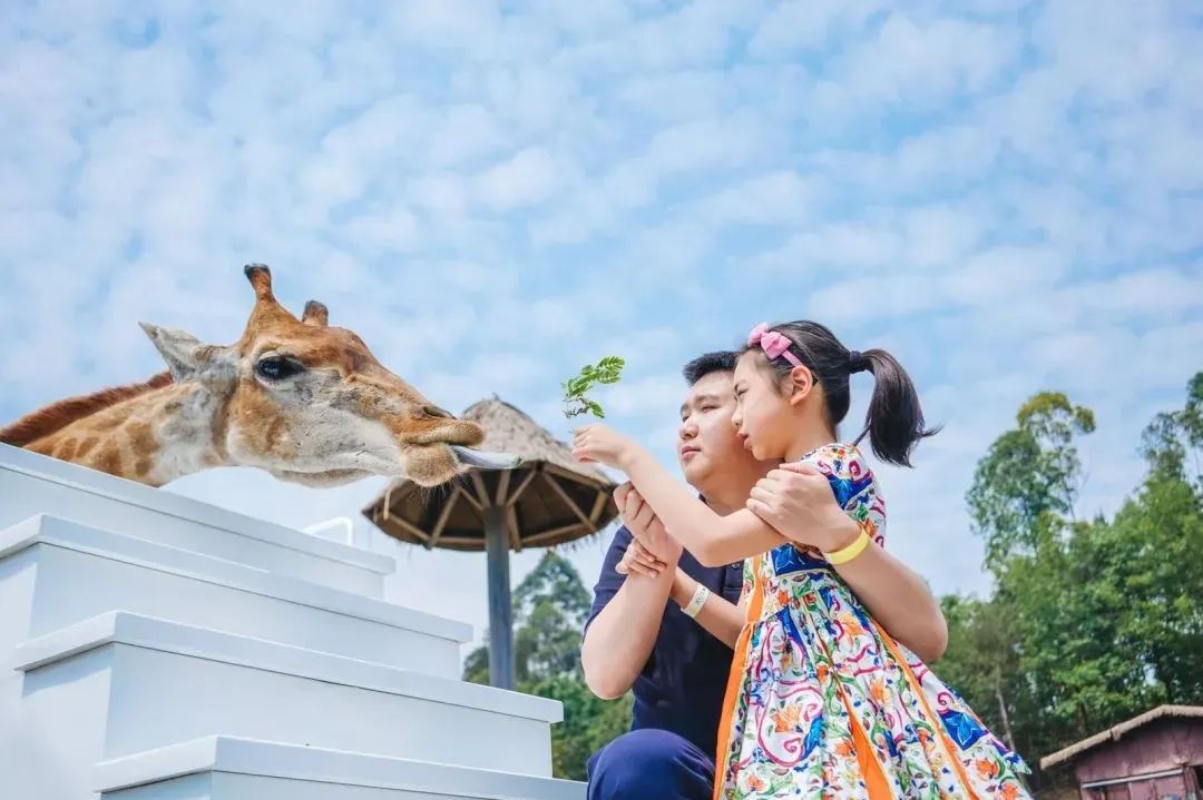 成都彭镇老茶馆,成都彭镇老茶馆打卡地点