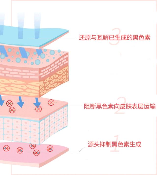 让脸上斑去掉,让脸上的皮肤变白