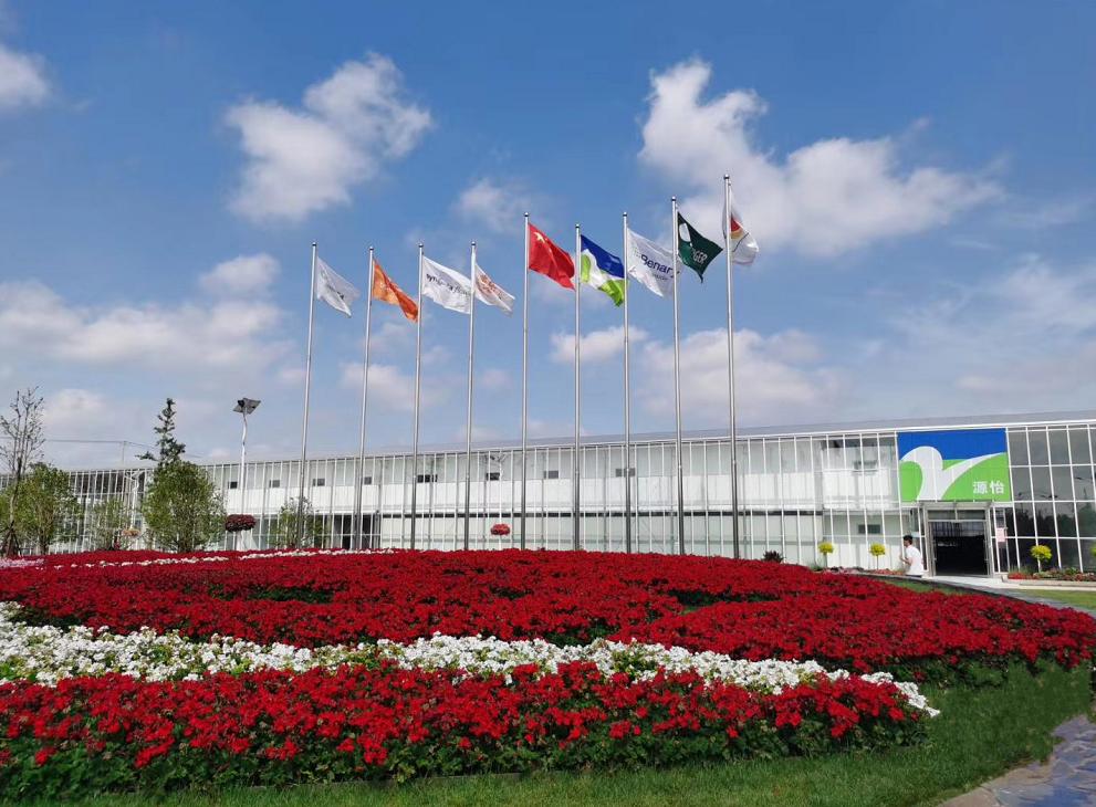 崇明岛比赛直播,上海崇明赛事视频