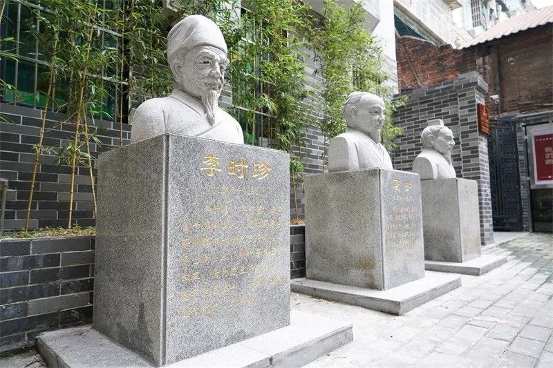 中医药巨大的宝藏,中医药文化宝藏