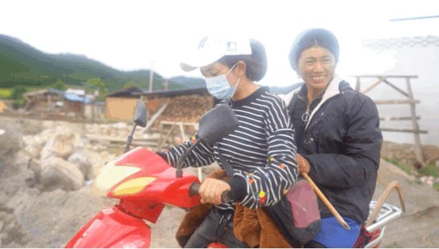 松茸比普通菌类贵多少,最好的松茸是哪里的