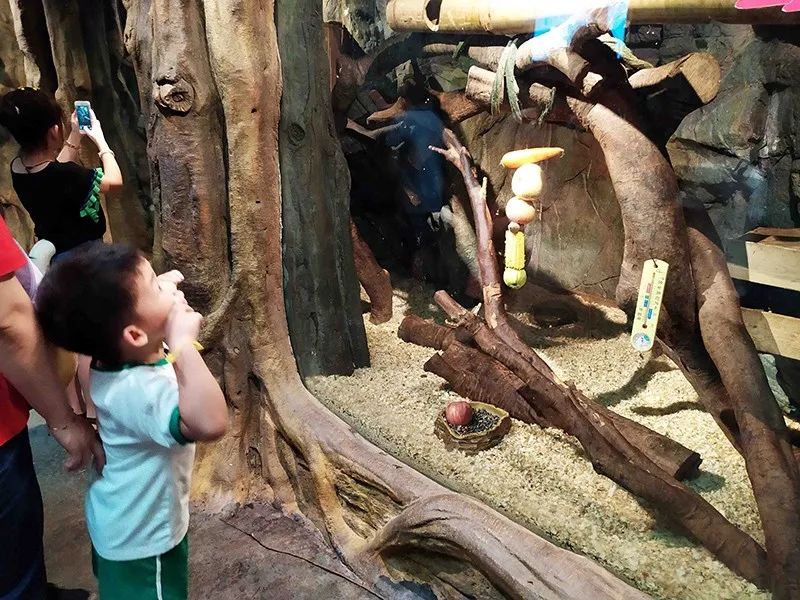 长隆乐园欢乐世界,广州长隆游玩注意事项