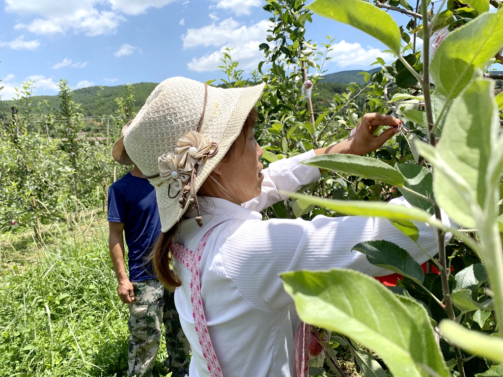 罗登报：下岗再创业带动群众走上脱贫致富路