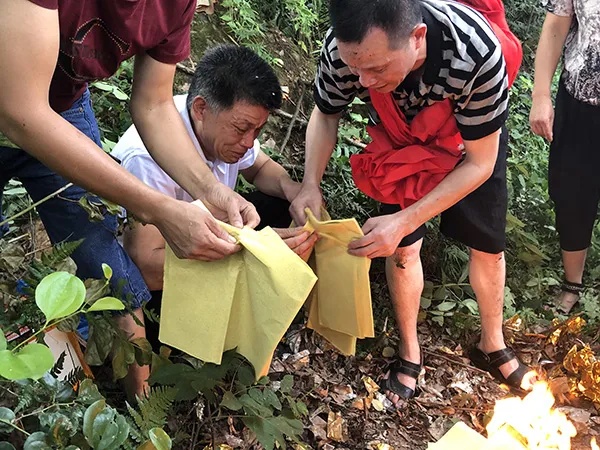 张玉环二个儿子之间闹矛盾了吗,张玉环两儿子矛盾