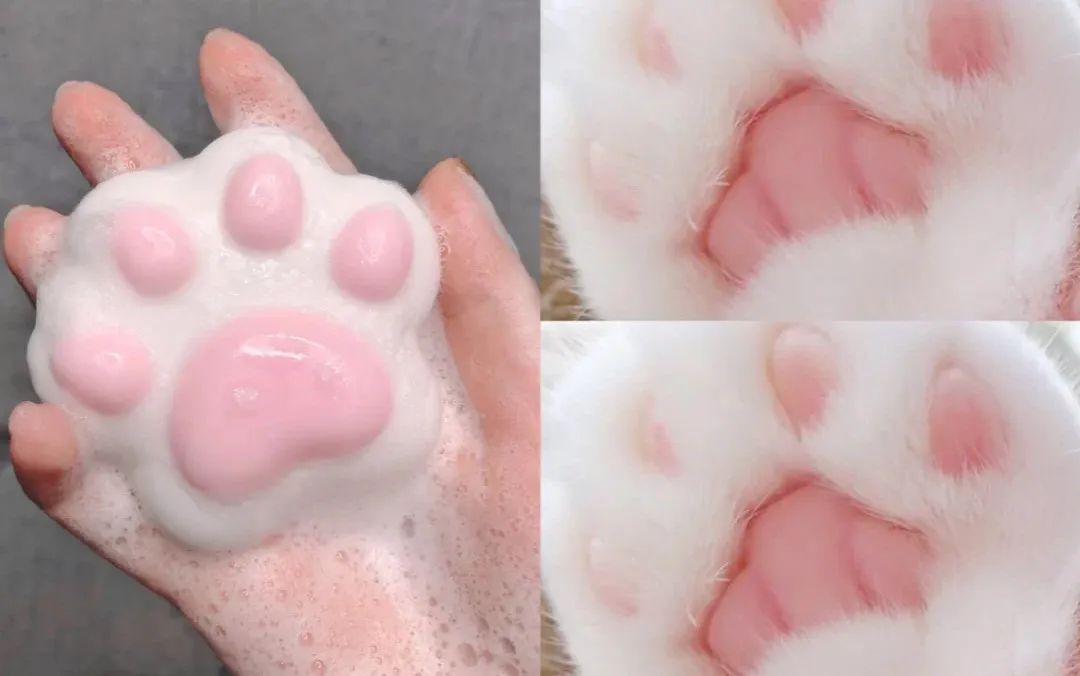 和猫咪接吻会怎么样,猫咪被亲了瞬间感觉不干净了