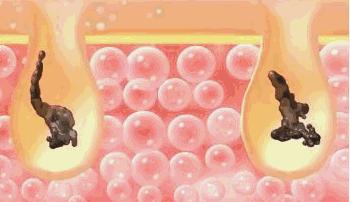 和猫咪接吻会怎么样,猫咪被亲了瞬间感觉不干净了