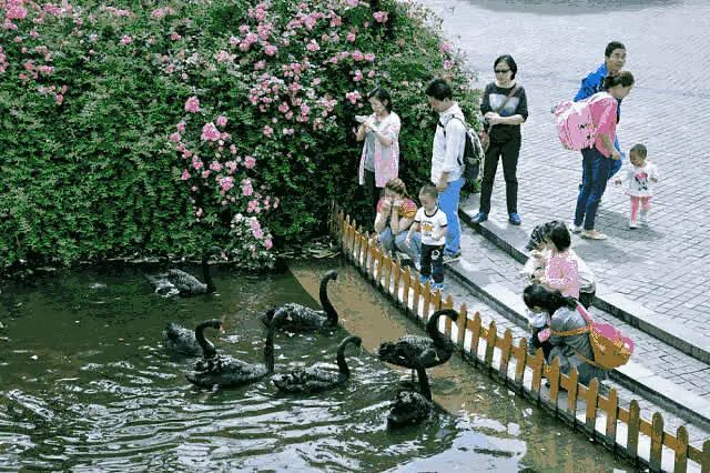 成都免费游玩景点推荐,成都景点免费门票一览表