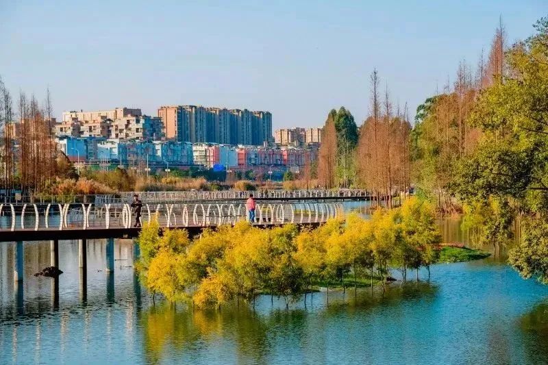 成都景点60岁以上免费门票,成都免费游玩景点推荐