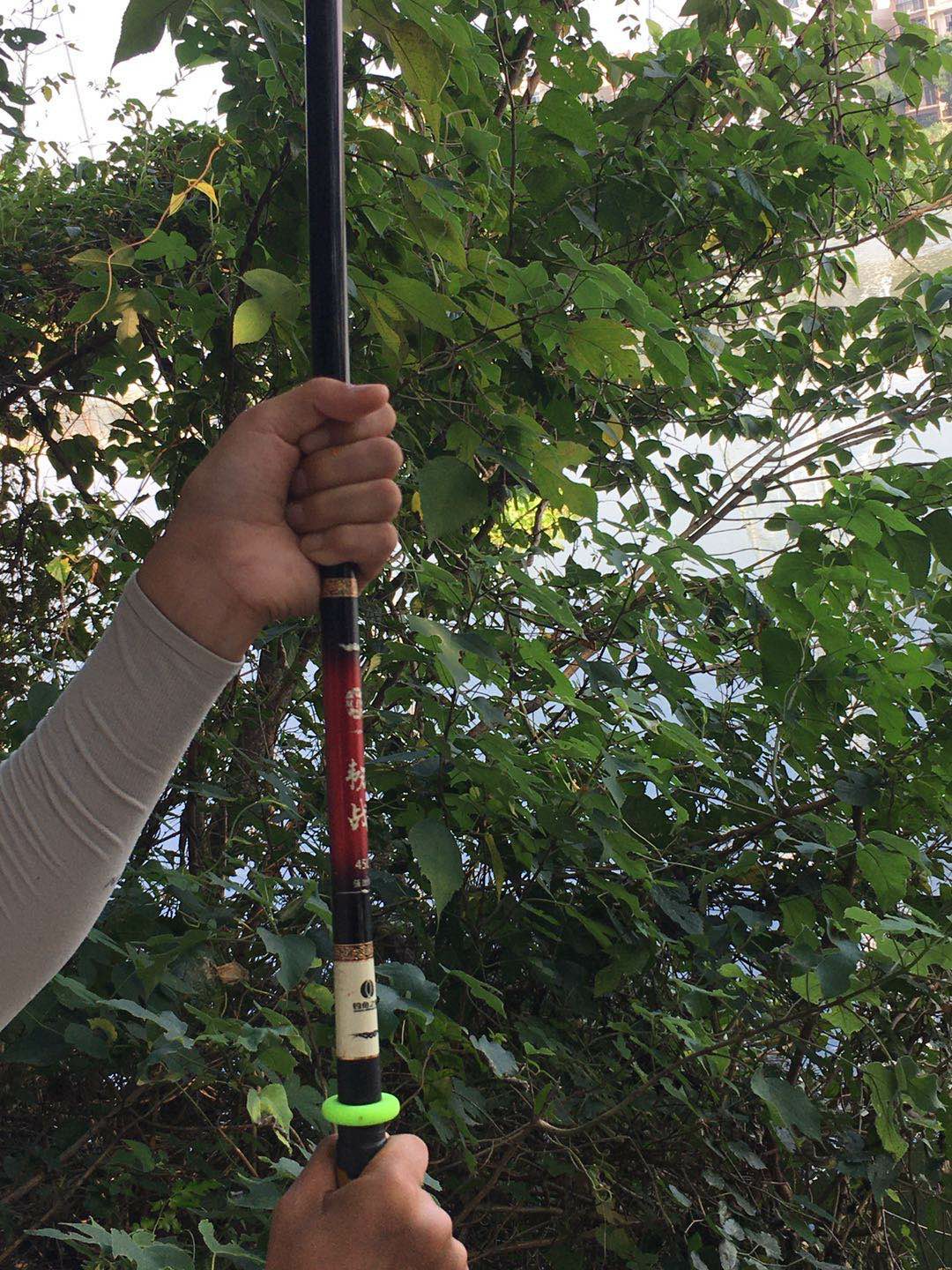 钓鱼人818完整视频,钓鱼人818攻略