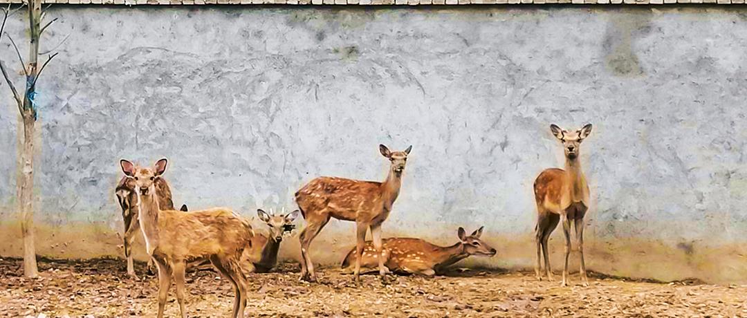 义乌热气球动力伞,北山热气球滑翔伞营地