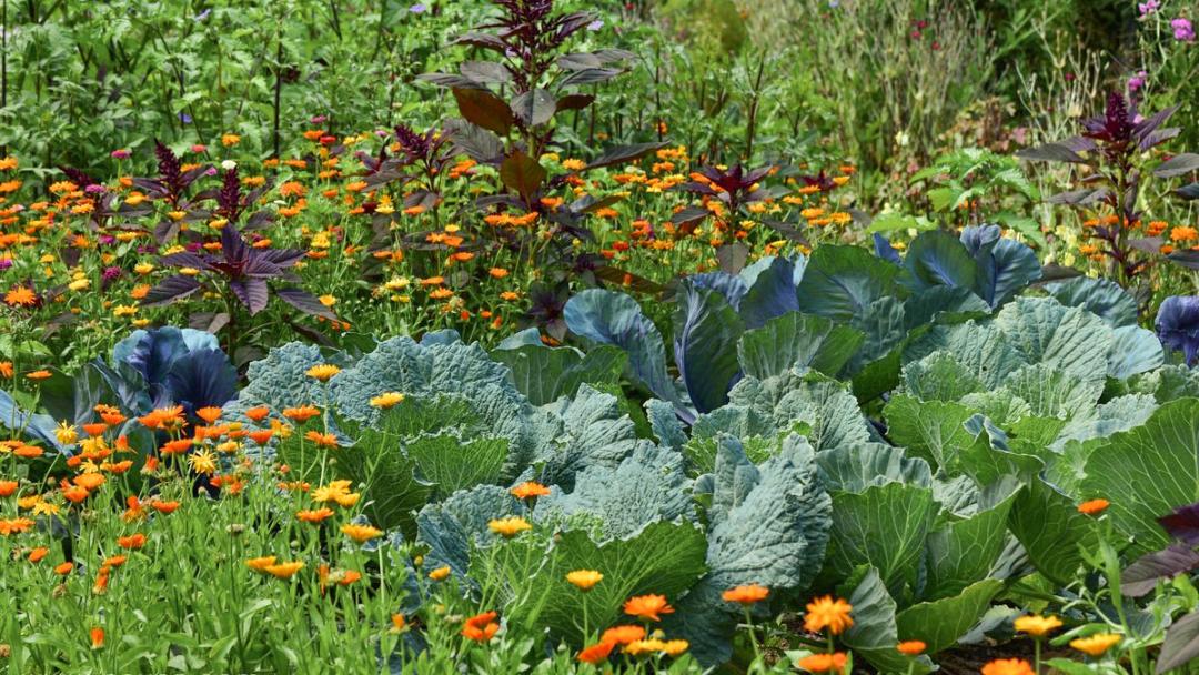 义乌热气球动力伞,北山热气球滑翔伞营地