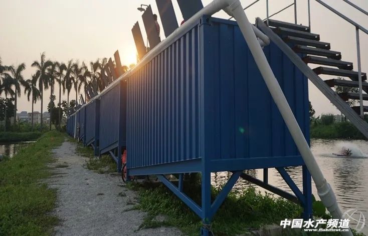 池塘生态养殖场建造,集装箱养殖可行性报告