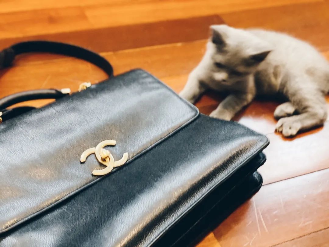 都说男人就是要大包，布耀廉到底谁大包