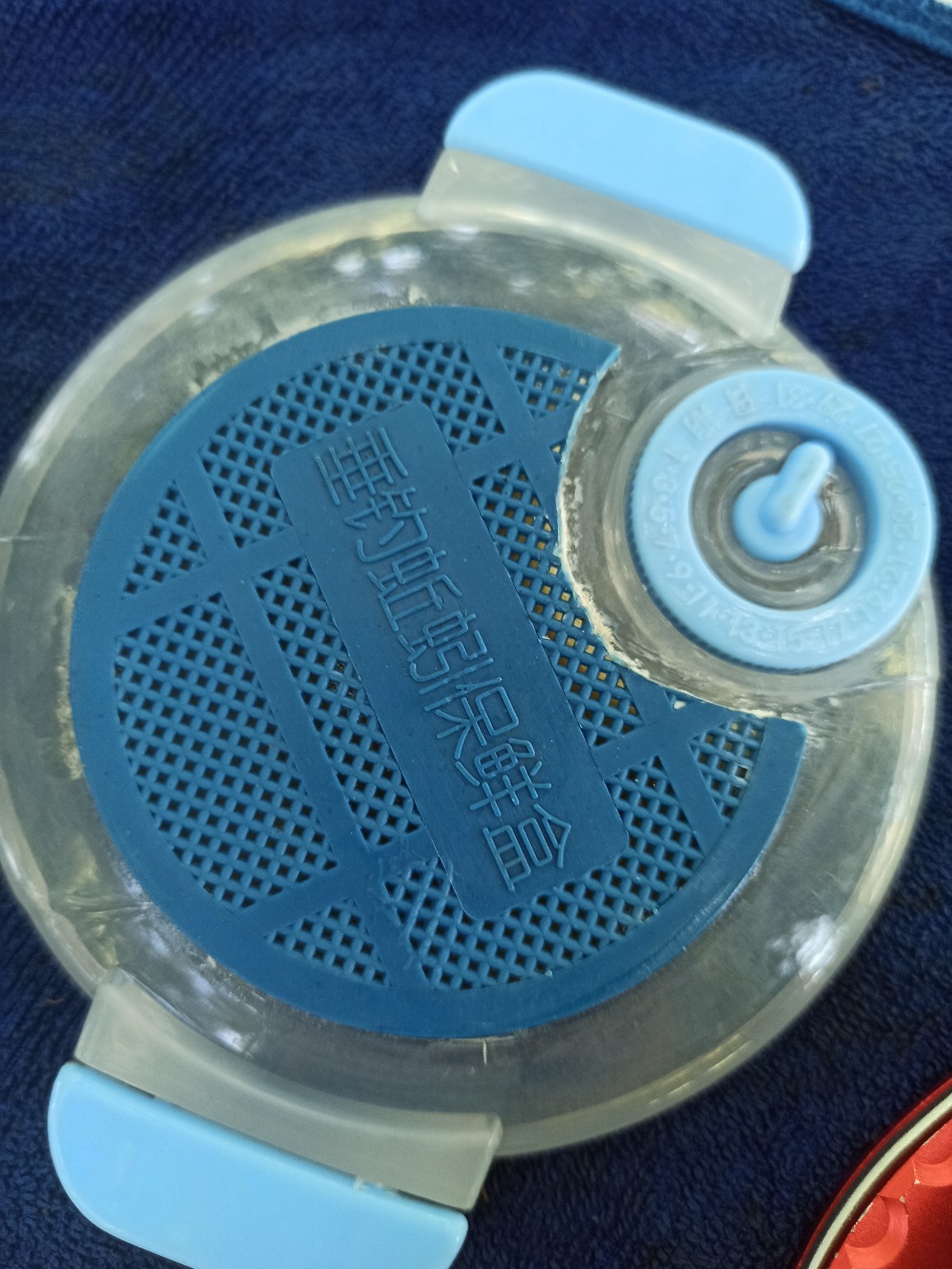 用废弃盒子做蚯蚓盒,手工做蚯蚓盒