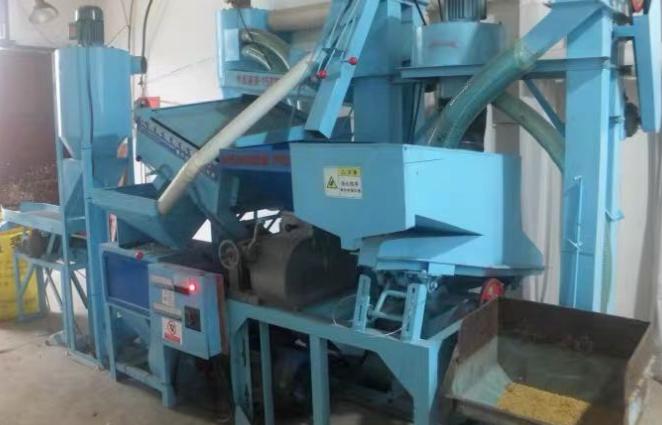 大米放久了为什么会长虫,大米放久了自己生虫子为什么