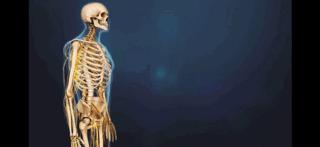 腰痛的真正原因是什么,腰痛要警惕五种原因