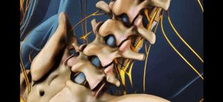 腰痛来龙去脉,腰疼真相