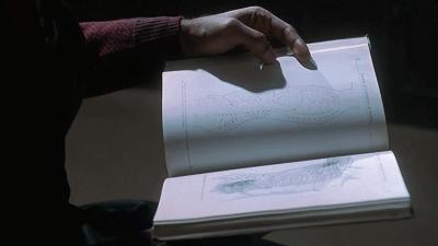 拯救上万儿童的医学大神,居然不配拥有姓名?